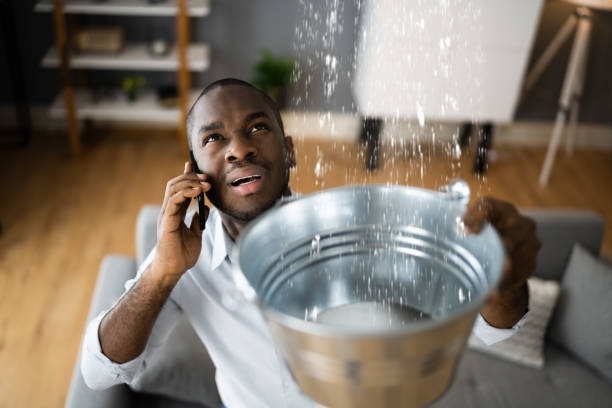 Best Flooded house restoration  in Cypress, CA