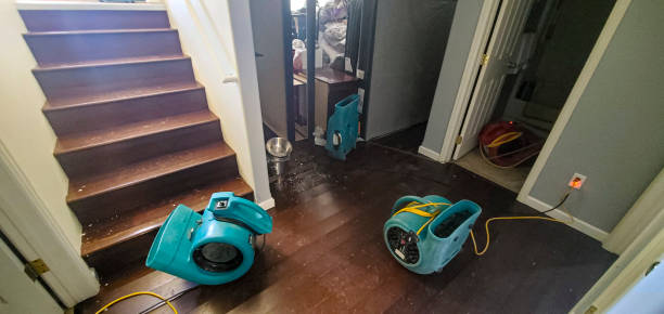 Water damage restoration experts in Cypress, CA