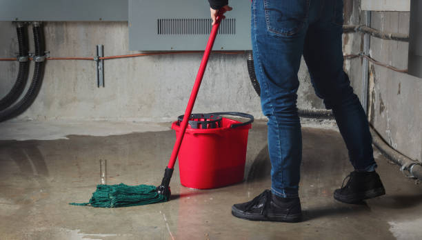 Best 24-hour water damage restoration  in Cypress, CA