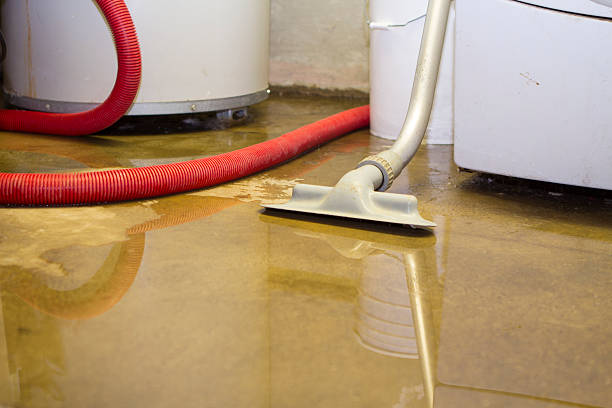Local water damage restoration in Cypress, CA
