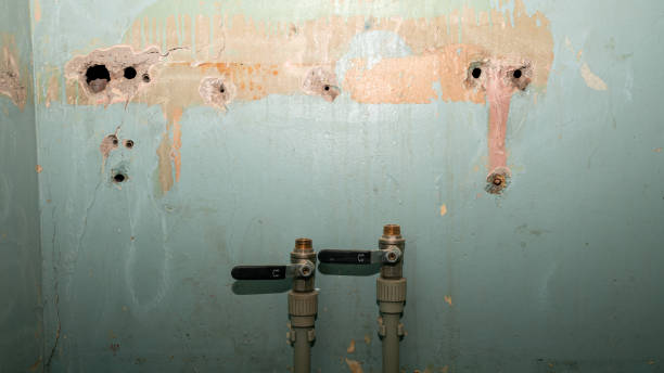 Best Mold removal after water damage  in Cypress, CA