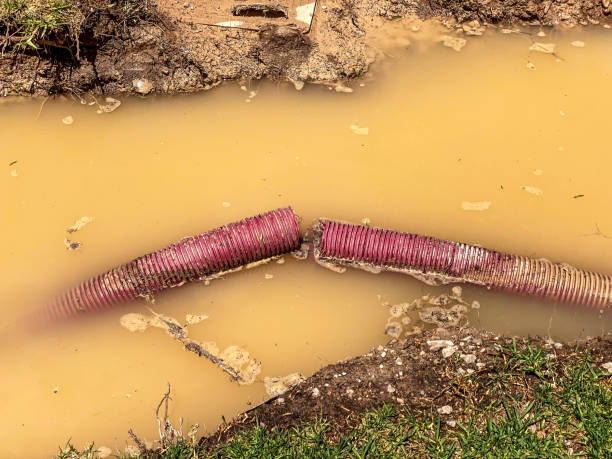 Best Flood restoration services  in Cypress, CA
