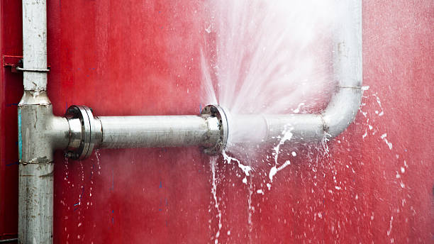 Best Professional water damage repair  in Cypress, CA